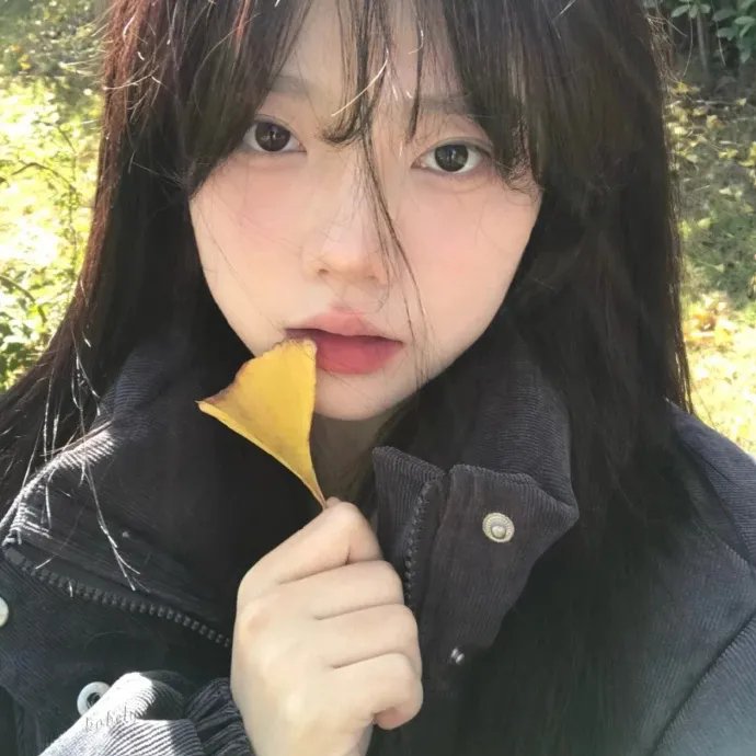 古墓入侵者