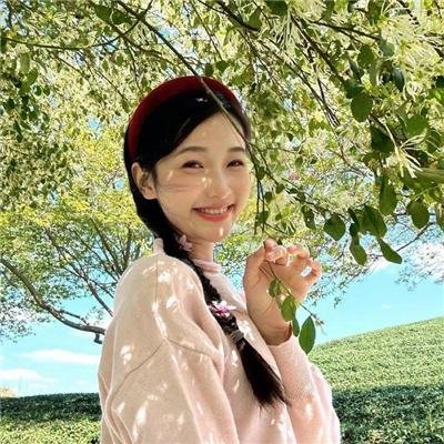 铳梦：战斗天使